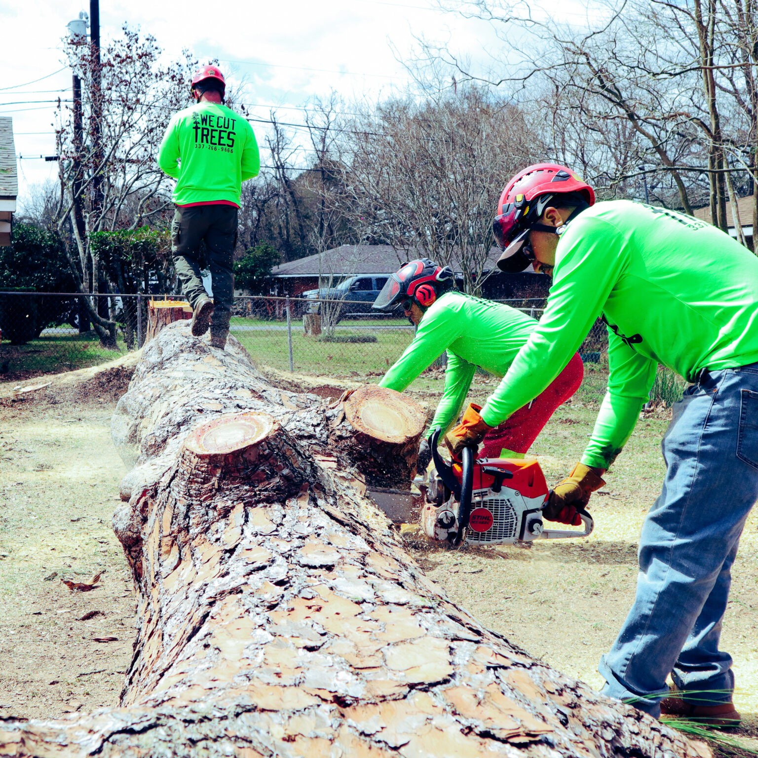 A Cajun Tree Cutters Tree Service In Lafayette